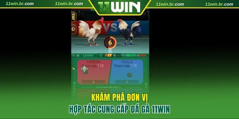 Khám phá thông tin về 4 đơn vị cung cấp tại đá gà 11WIN 