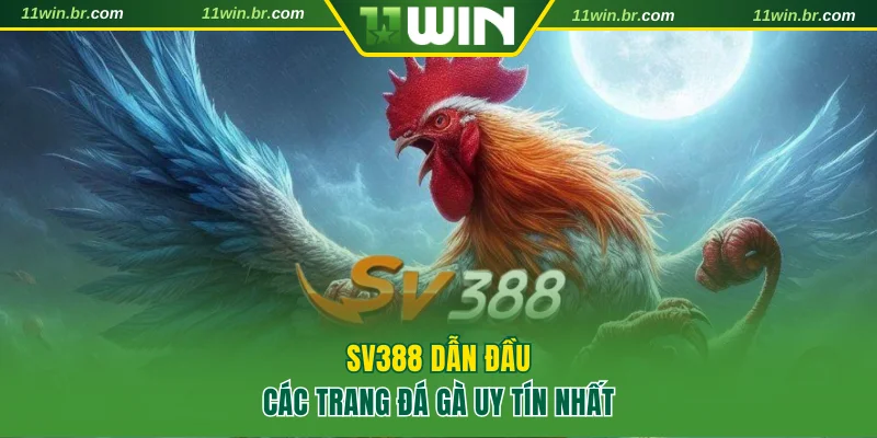 SV388 dẫn đầu các trang đá gà uy tín nhất thị trường